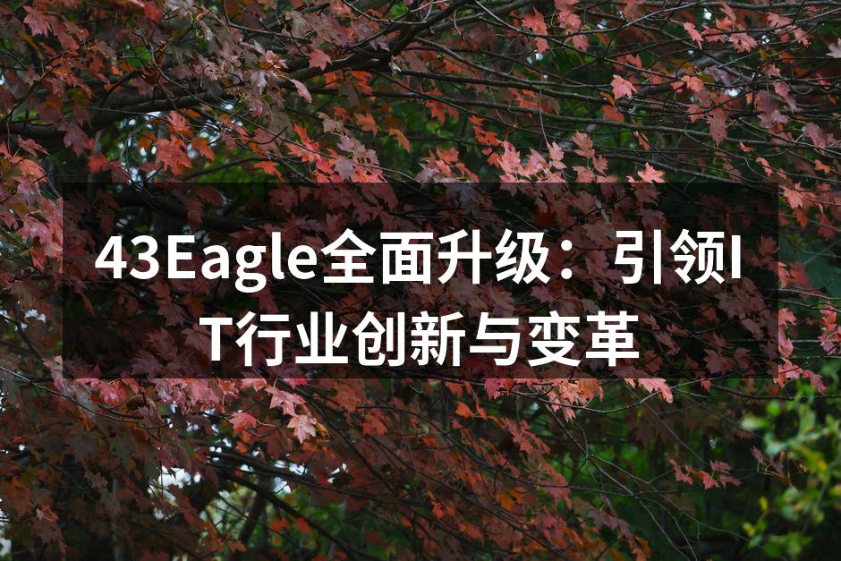 43Eagle全面升级：引领IT行业创新与变革