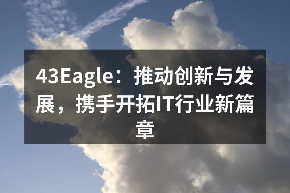 43Eagle团队在技术分享会中的精彩瞬间